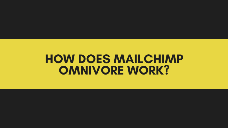 WHY DO YOU NEED TO USE MAILCHIMP OMNIVORE EmailOversight
